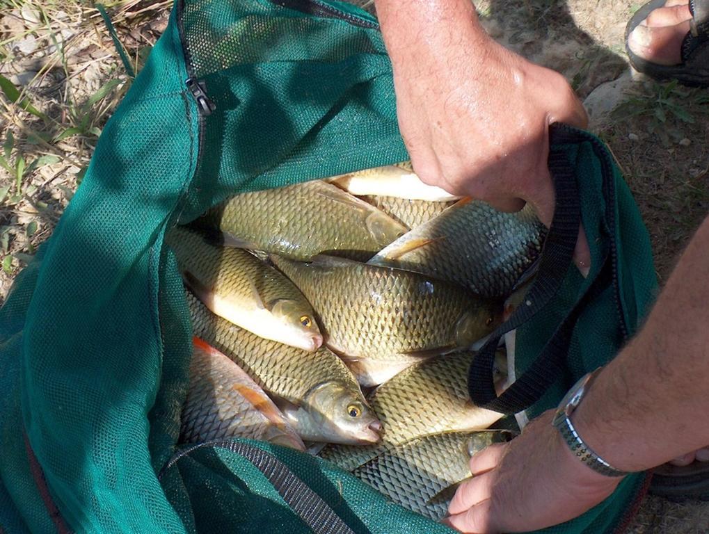 Camping Le Couriou Recoubeau-Jansac Zewnętrze zdjęcie
